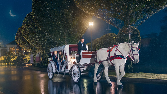 Winter Carriage Rides